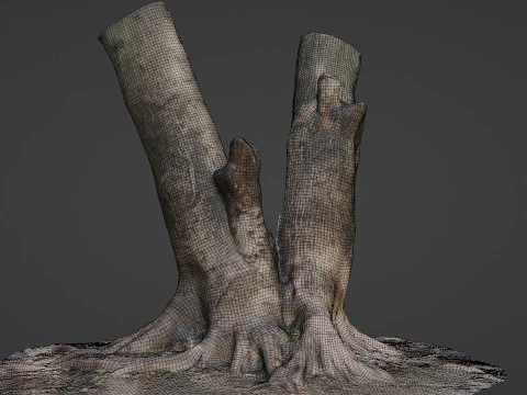 Twin Tree 3D Model