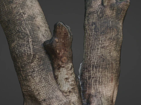 Twin Tree 3D Model