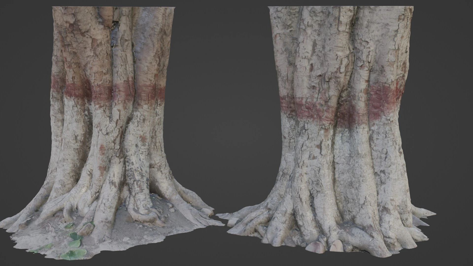 Painted Tree 3D Model .c4d .max .obj .3ds .fbx .stl .blend 