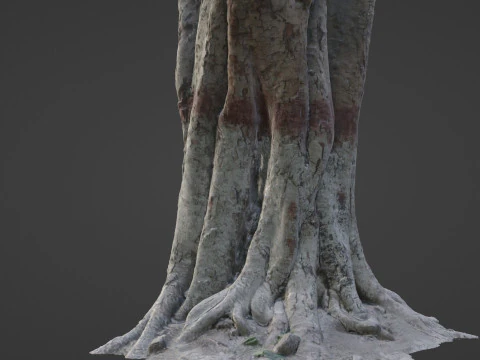 Painted Tree 3D Model