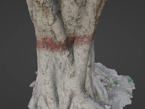 Painted Tree 3D Model
