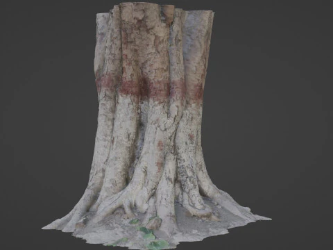 Painted Tree 3D Model