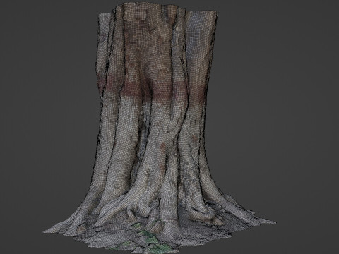 Painted Tree Modello 3D