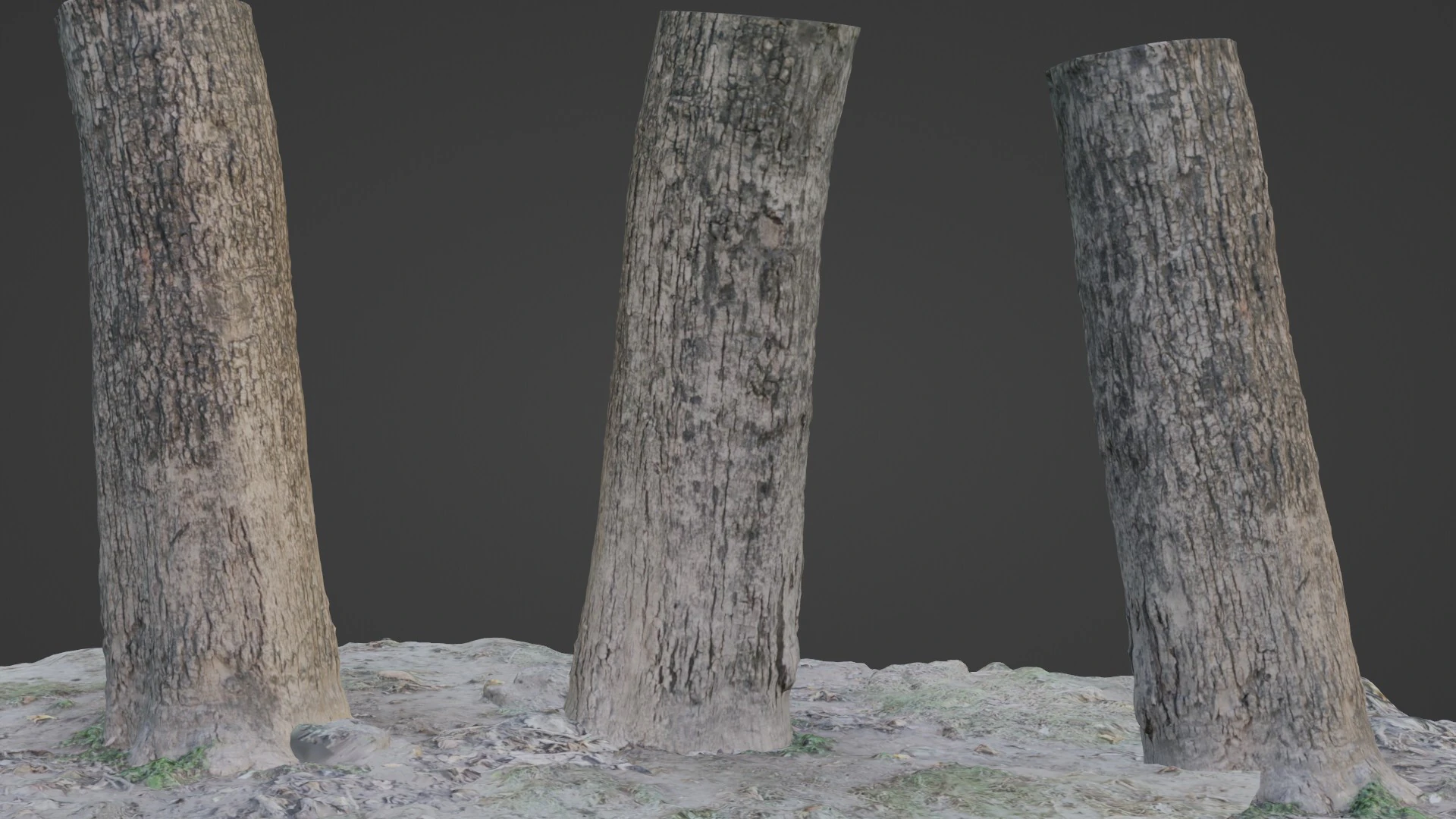Scanned Tree 3D Model .c4d .max .obj .3ds .fbx .stl .blend 