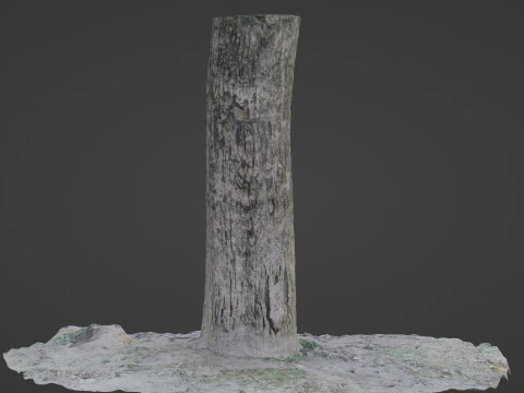 Scanned Tree 3D Model