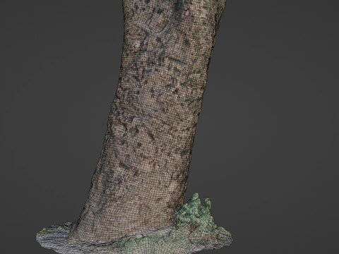 傷のある木の幹 3Dモデル