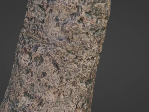 傷のある木の幹 3Dモデル