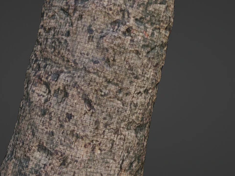 傷のある木の幹 3Dモデル