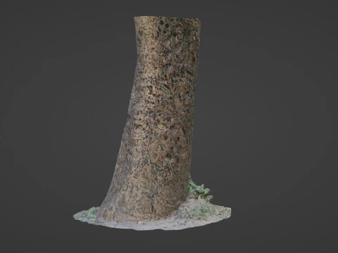 傷のある木の幹 3Dモデル