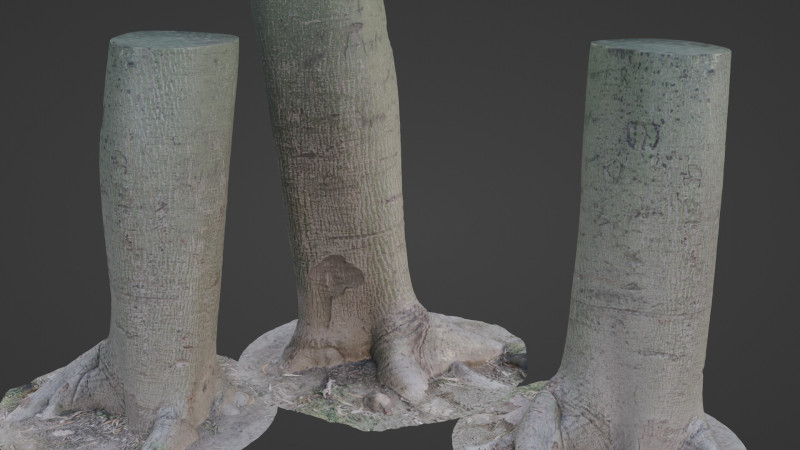 Jungle Tree Modèle 3D .c4d .max .obj .3ds .fbx .stl .blend