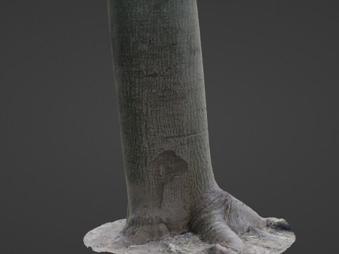 Jungle Tree Modèle 3D