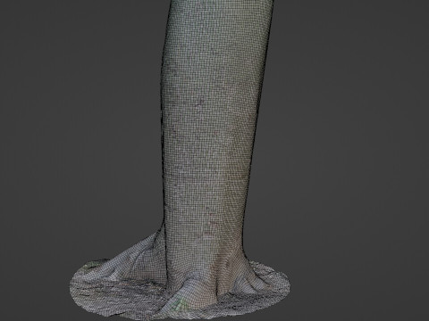 Jungle Tree Modèle 3D