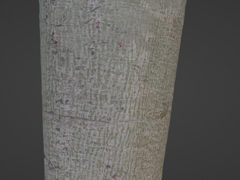 Jungle Tree Modèle 3D