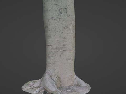 Jungle Tree Modèle 3D