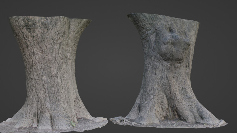 Big Trunk scan Modèle 3D .c4d .max .obj .3ds .fbx .stl .blend