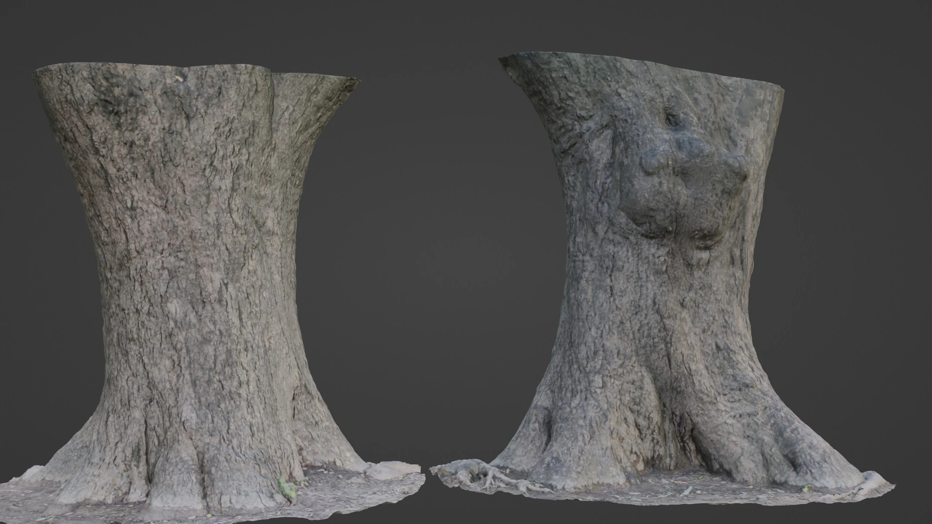 Big Trunk scan 3D Model .c4d .max .obj .3ds .fbx .stl .blend 