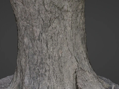 Big Trunk scan 3D Model