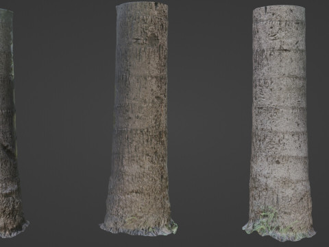 Tree scan Modelo 3D