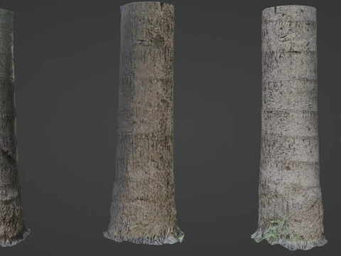 Analyse de l'arborescence Modèle 3D