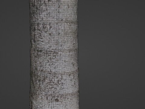 Tree scan 3D Model