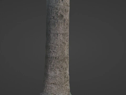 Tree scan 3D Model