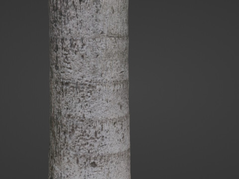 Tree scan 3D Model