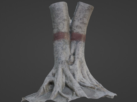 Scanned Gaint Tree Model 3D