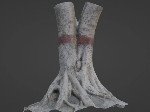 Scanned Gaint Tree 3D Model