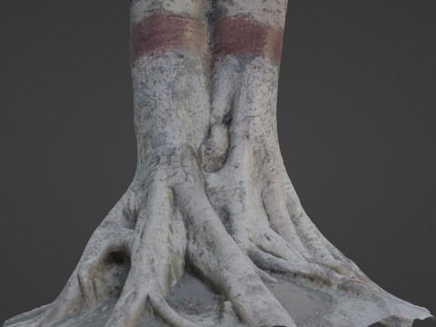 Scanned Gaint Tree Model 3D