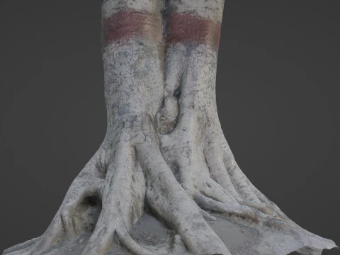Scanned Gaint Tree 3D Model