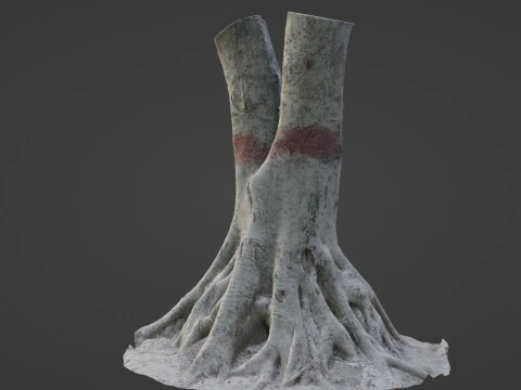 Scanned Gaint Tree 3D Model