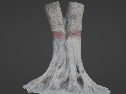 Scanned Gaint Tree 3D Model