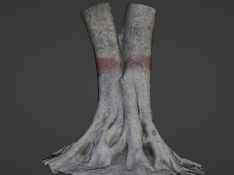 Scanned Gaint Tree Model 3D