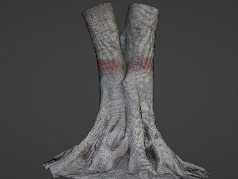 Scanned Gaint Tree 3D Model