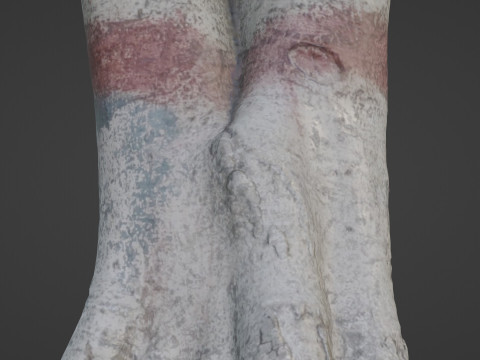 Scanned Gaint Tree Model 3D
