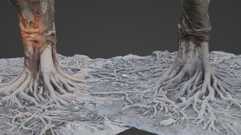 Gaint Roots Tree 3D Model .c4d .max .obj .3ds .fbx .stl .blend