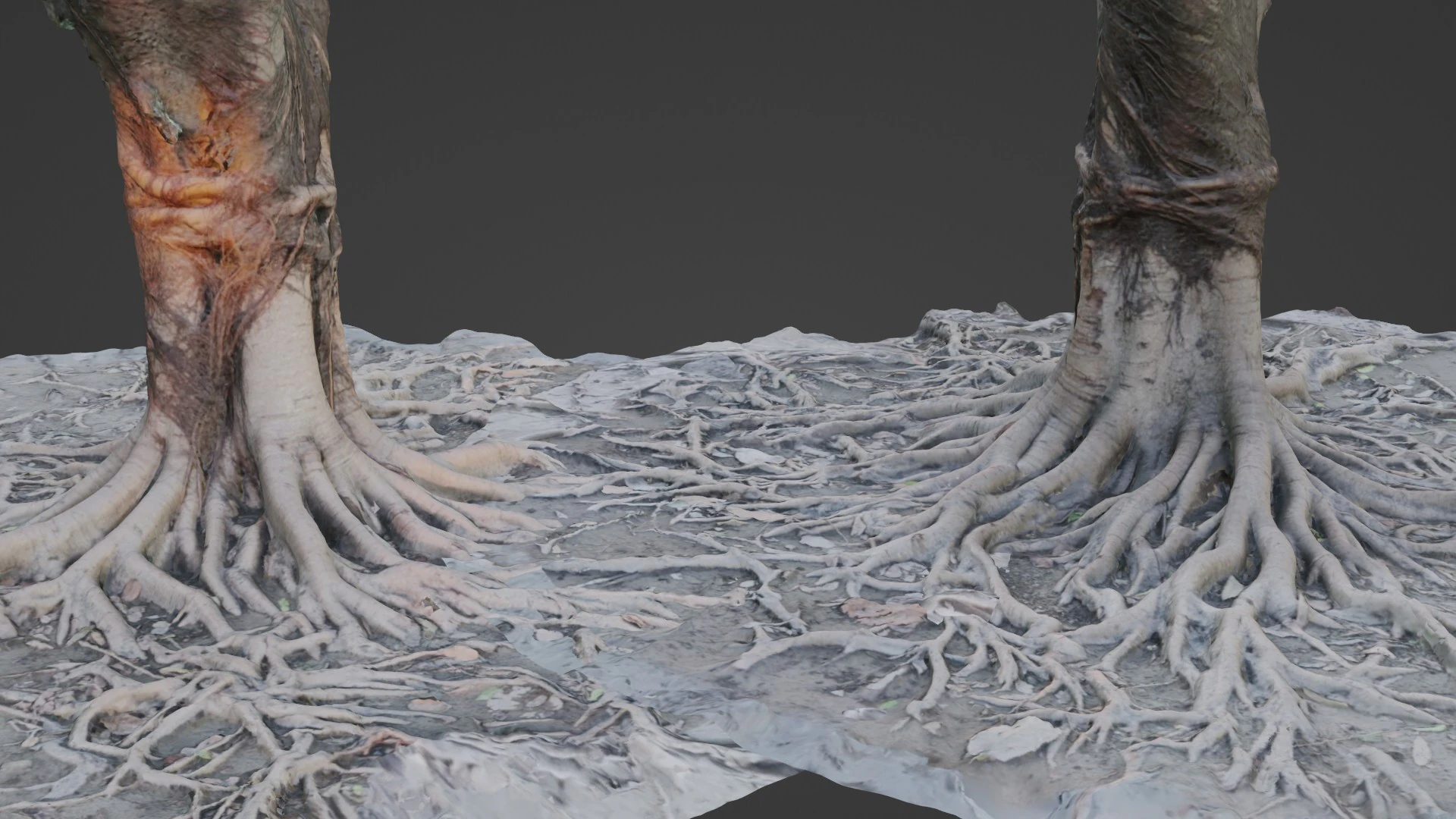 Gaint Roots Tree 3D Model .c4d .max .obj .3ds .fbx .stl .blend 