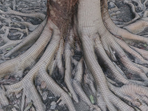 Gaint Roots Tree 3D Model