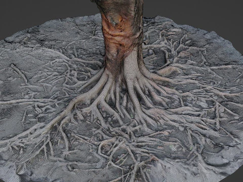 Gaint Roots Tree 3D Model