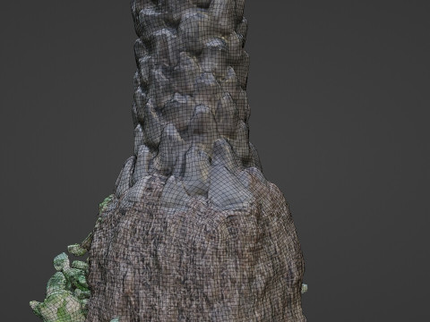 Palm tree 3D 모델