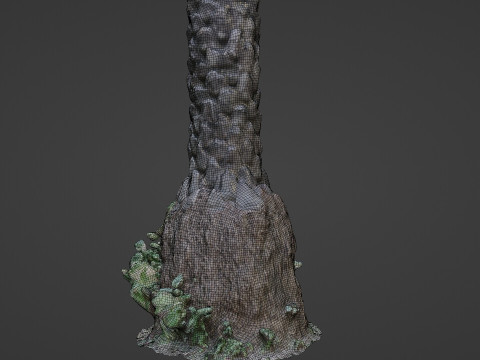 Palm tree 3D Model