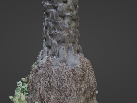 Palm tree 3D Model