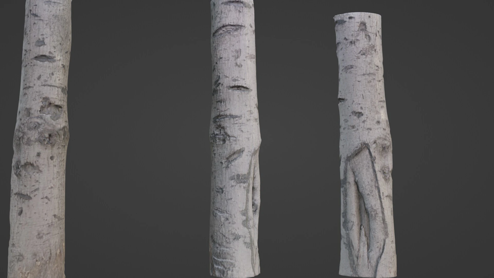 Birch Tree Bark 3D Model .c4d .max .obj .3ds .fbx .stl .blend 