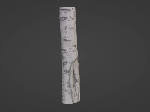 Birch Tree Bark 3D Model