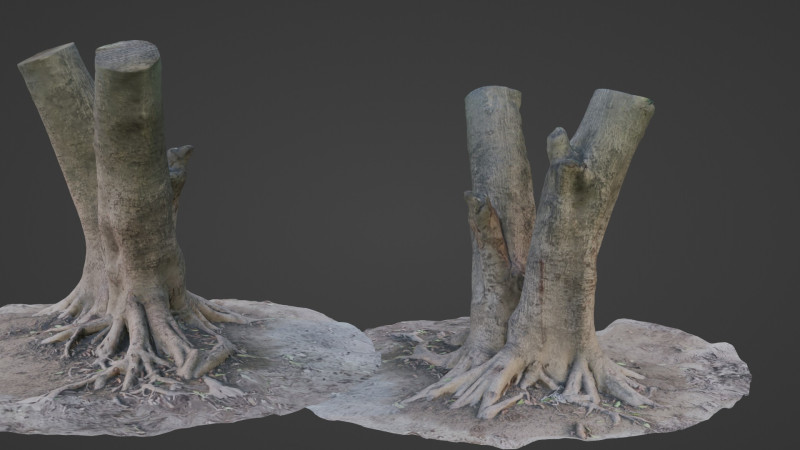 Tree with roots Model 3D .c4d .max .obj .3ds .fbx .stl .blend