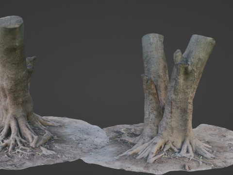 Tree with roots 3D Model