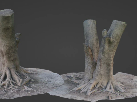 Boom met wortels 3D Model