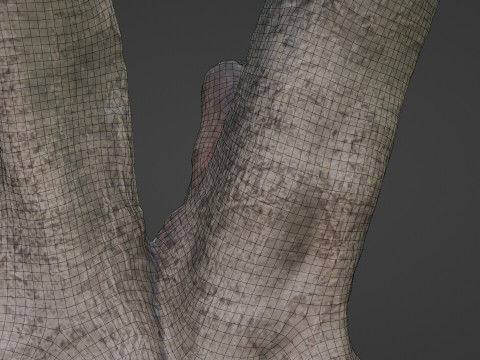 Tree with roots Model 3D
