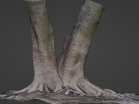 Tree with roots Model 3D