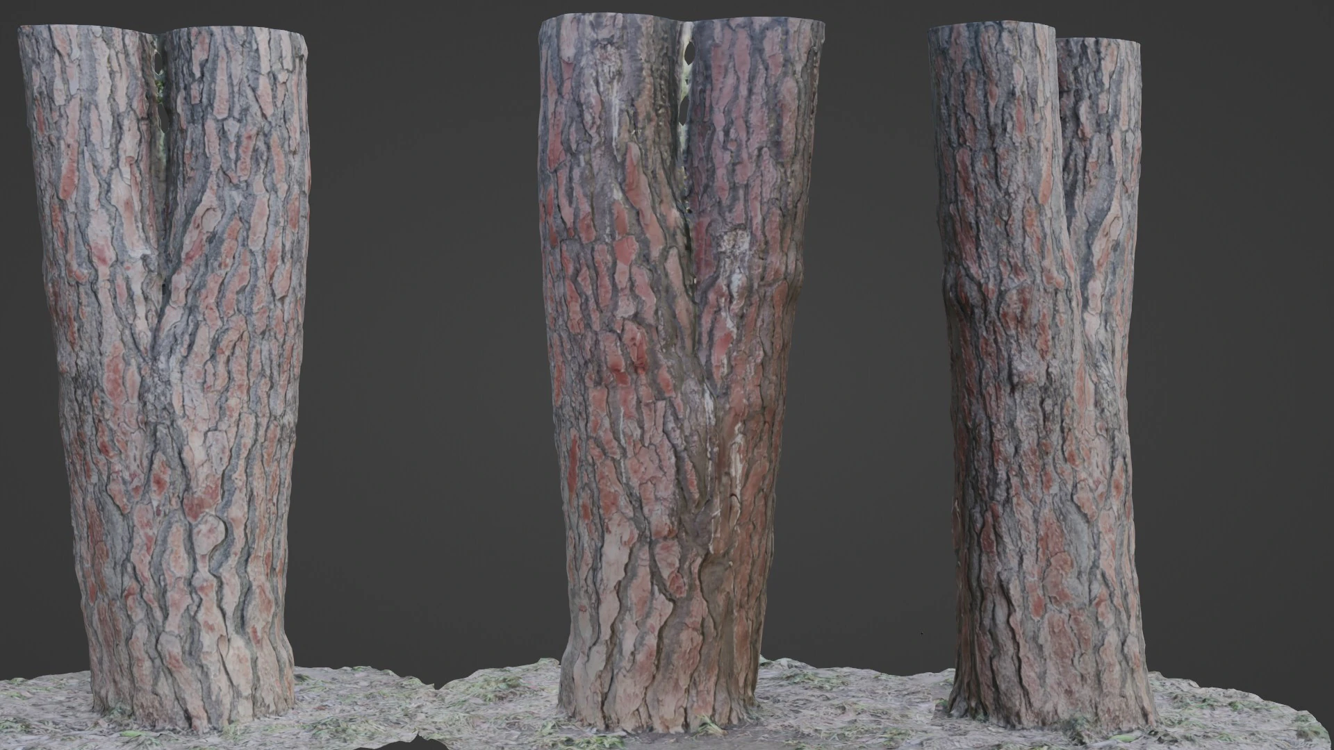 Pine Tree Trunk 3D Model .c4d .max .obj .3ds .fbx .stl .blend